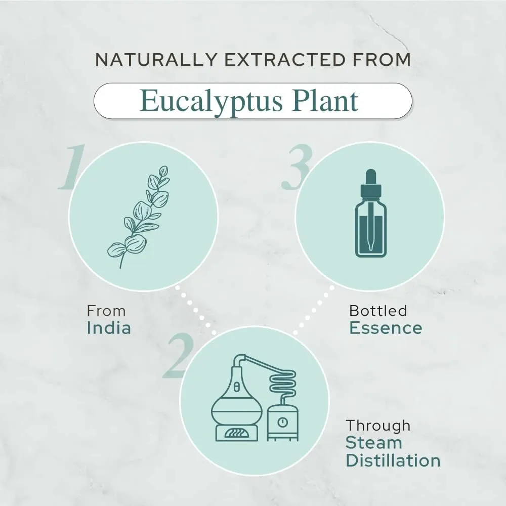 Plant of Life Eucalyptus Essential Oil | Therapeutic Grade | Multi Sizes