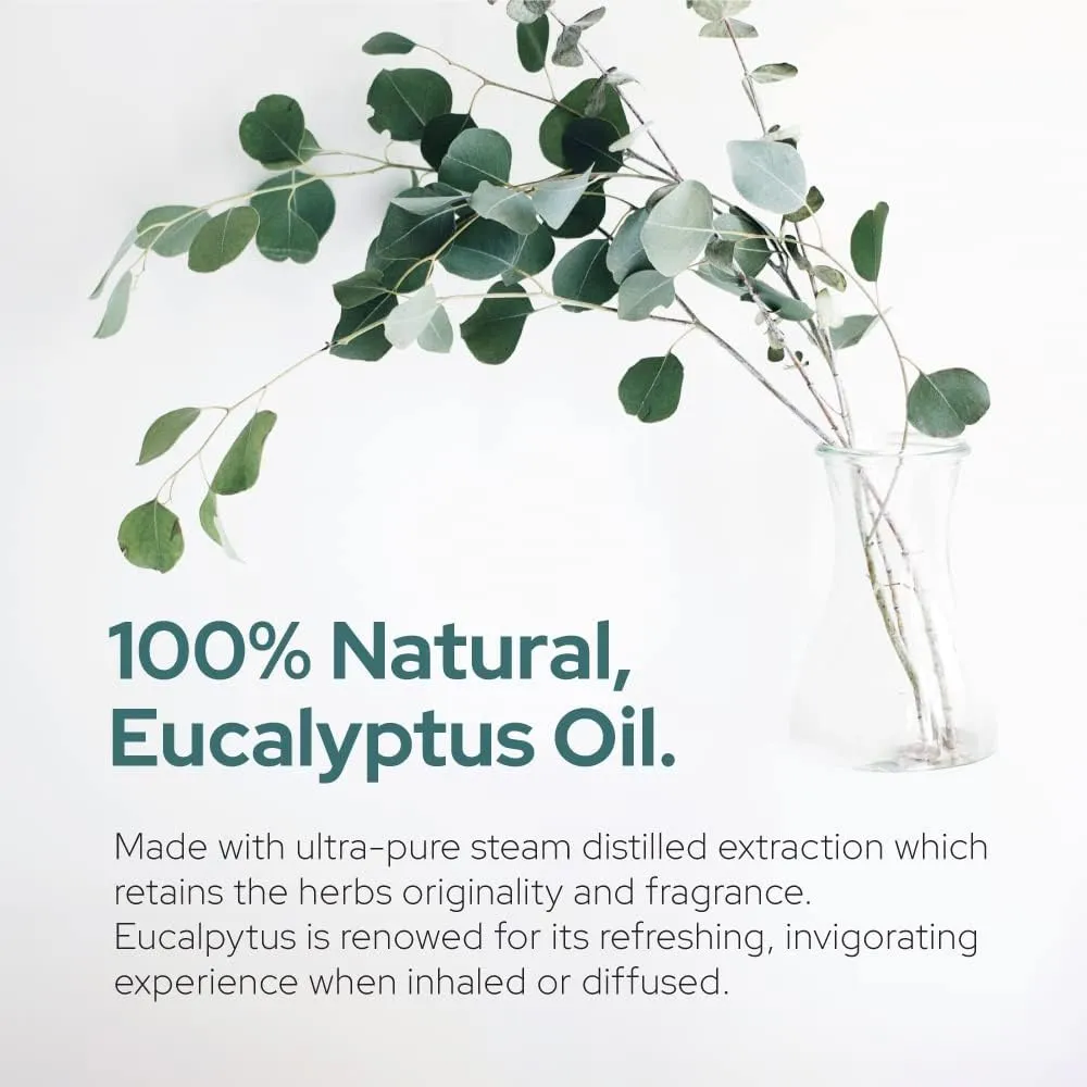 Plant of Life Eucalyptus Essential Oil | Therapeutic Grade | Multi Sizes